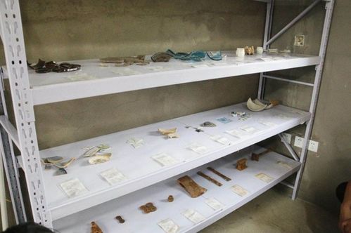 《老黑河日记》荣膺中华文物全媒体传播精品新媒体入围项目，展现吉林文旅融合新成果