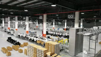 中控智造助力民营企业砥砺前行 罗势项目的创新实践